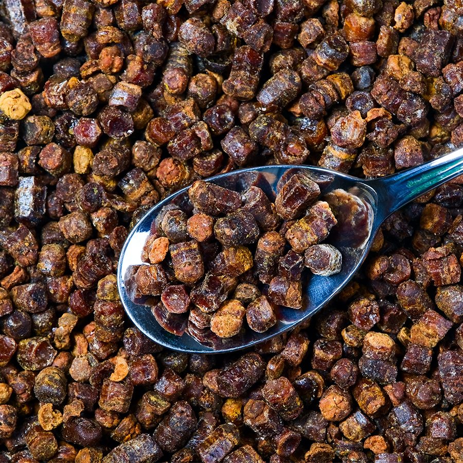 Campania Detoxifiere cu pastura ApiLand